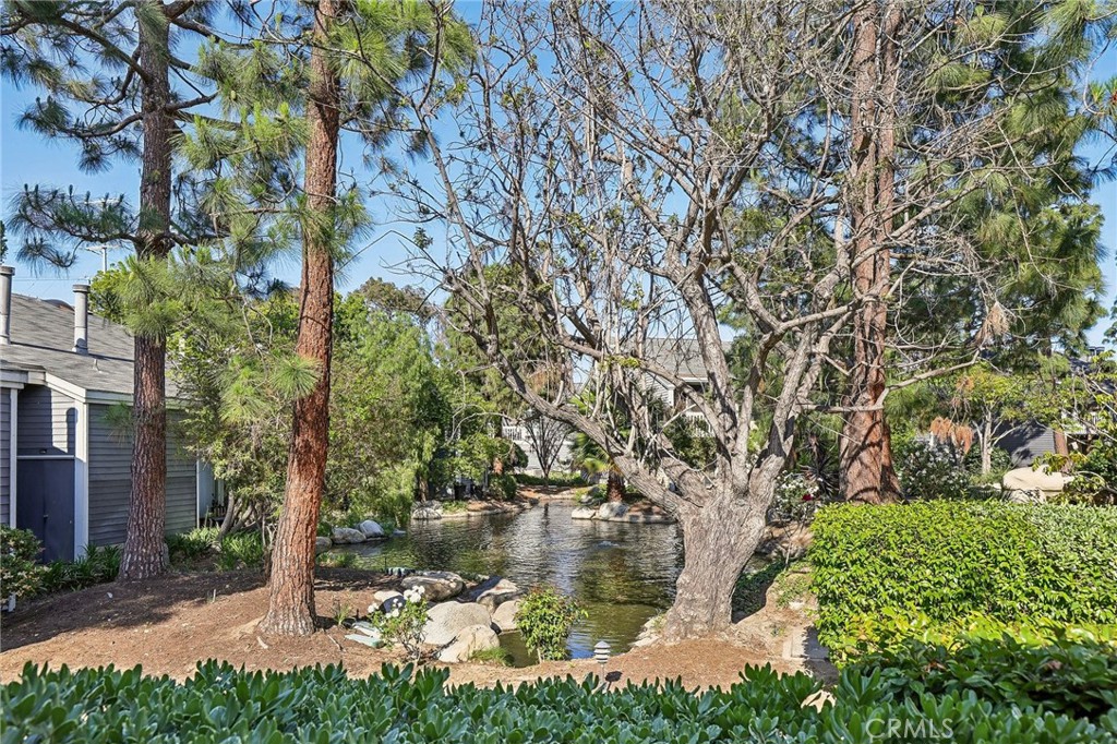 25447 Pine Creek Lane