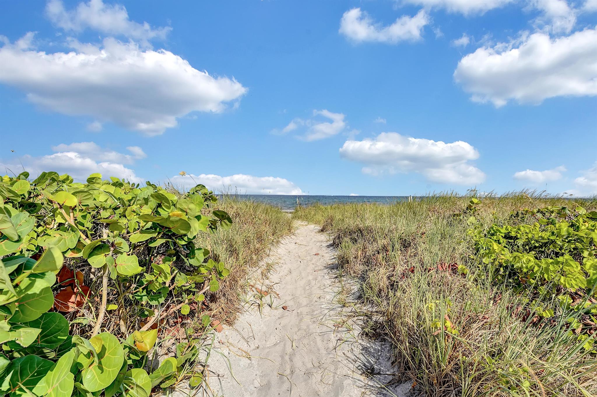 2175 S Ocean Boulevard 304