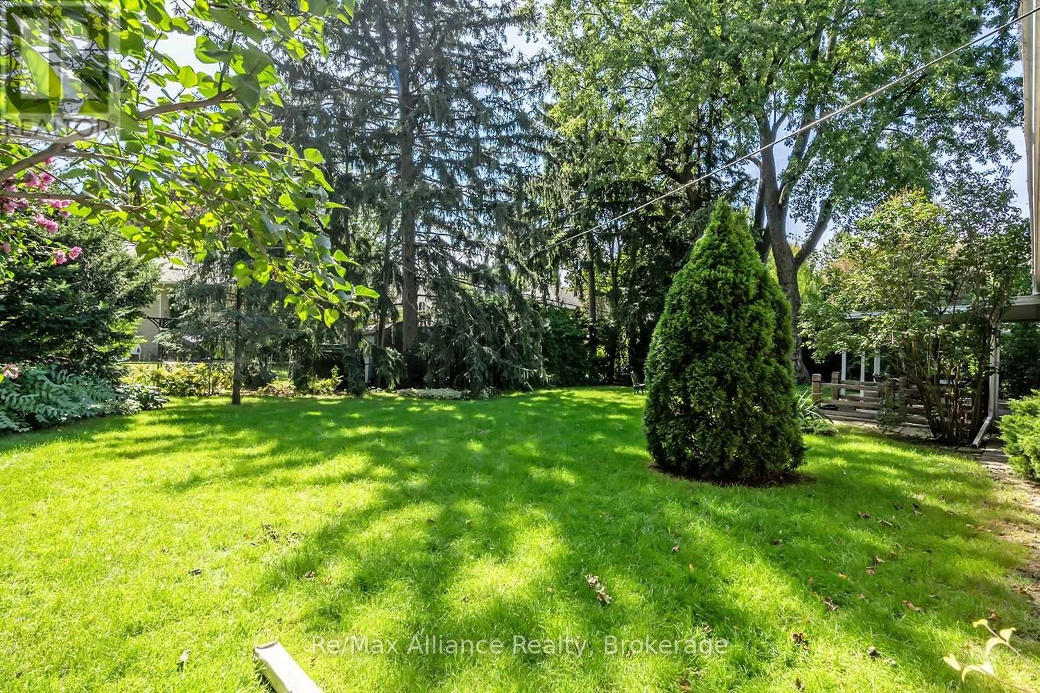 Sunny backyard with a broad lawn, mature trees, flowering shrubs and a raised wooden deck.