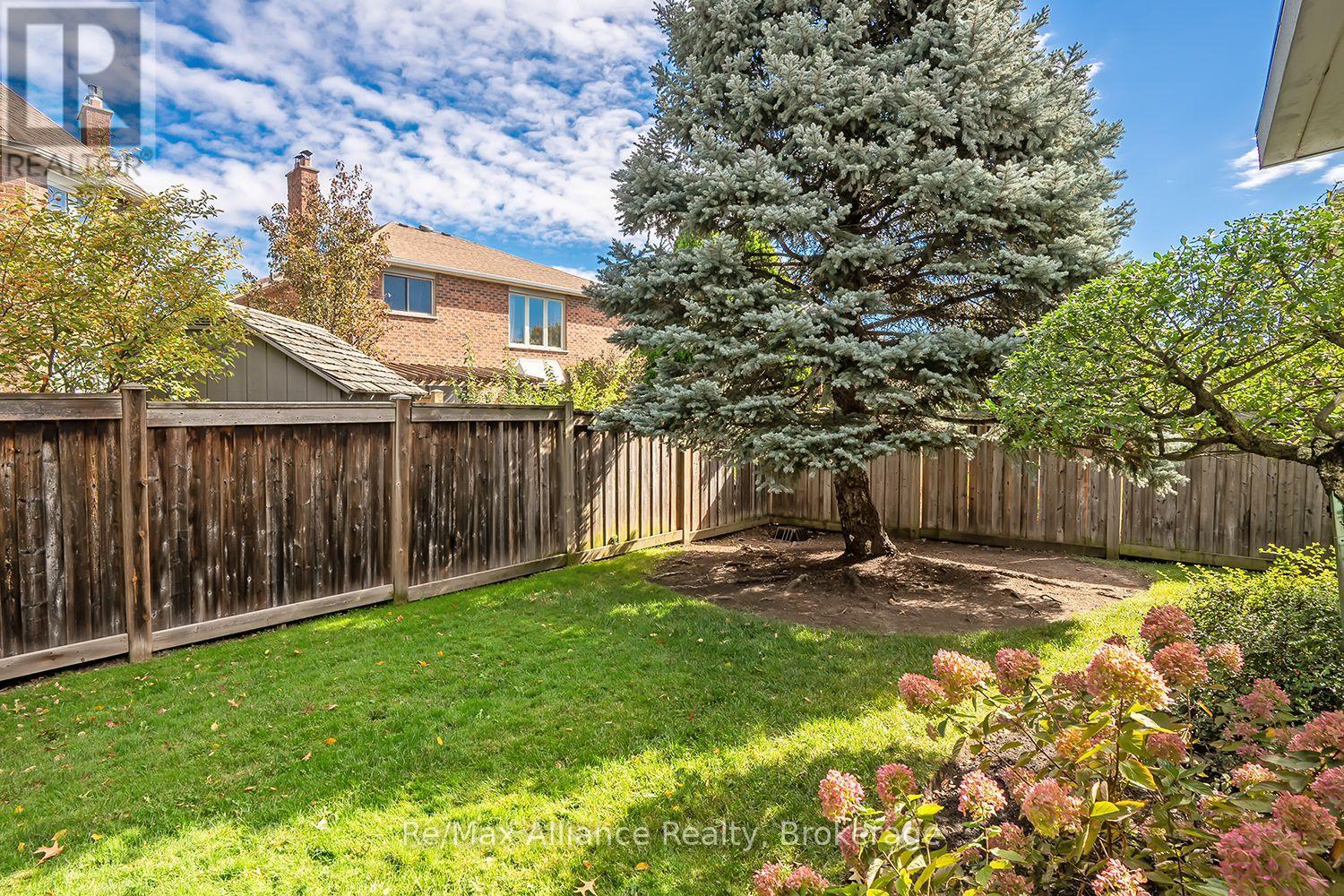 Fenced backyard with a large spruce tree, green lawn, and flowering hydrangeas.