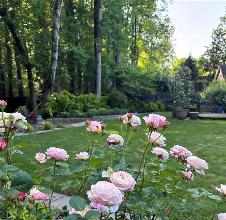 2466 Chimney Springs Drive