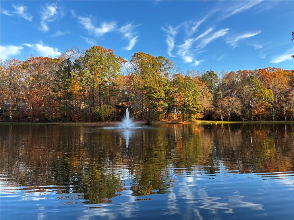 2466 Chimney Springs Drive