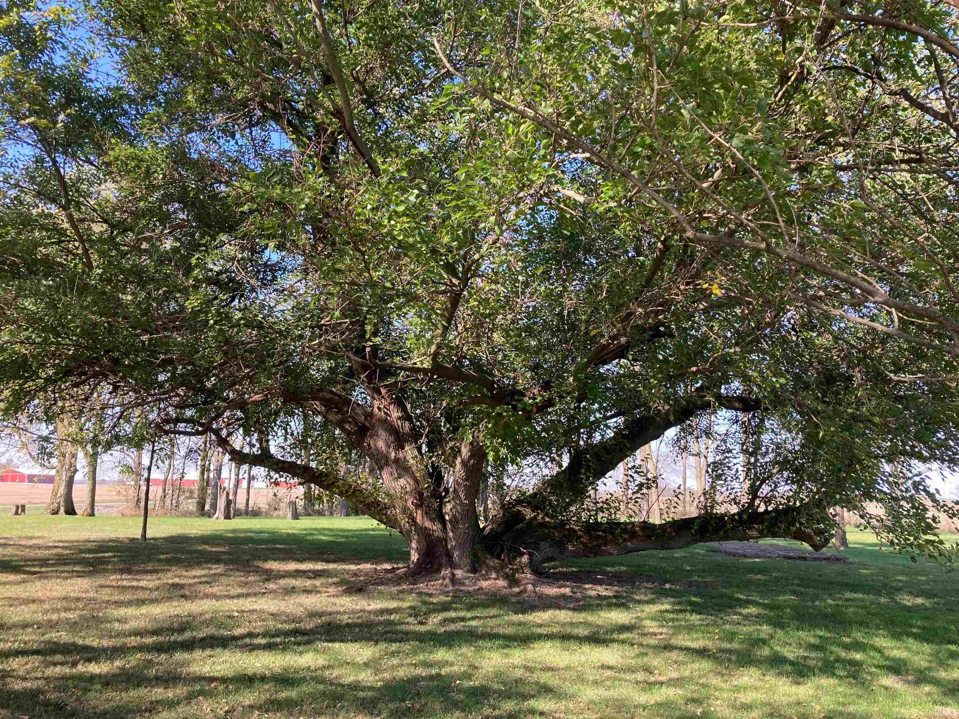 10510 E CR 1000 N Road