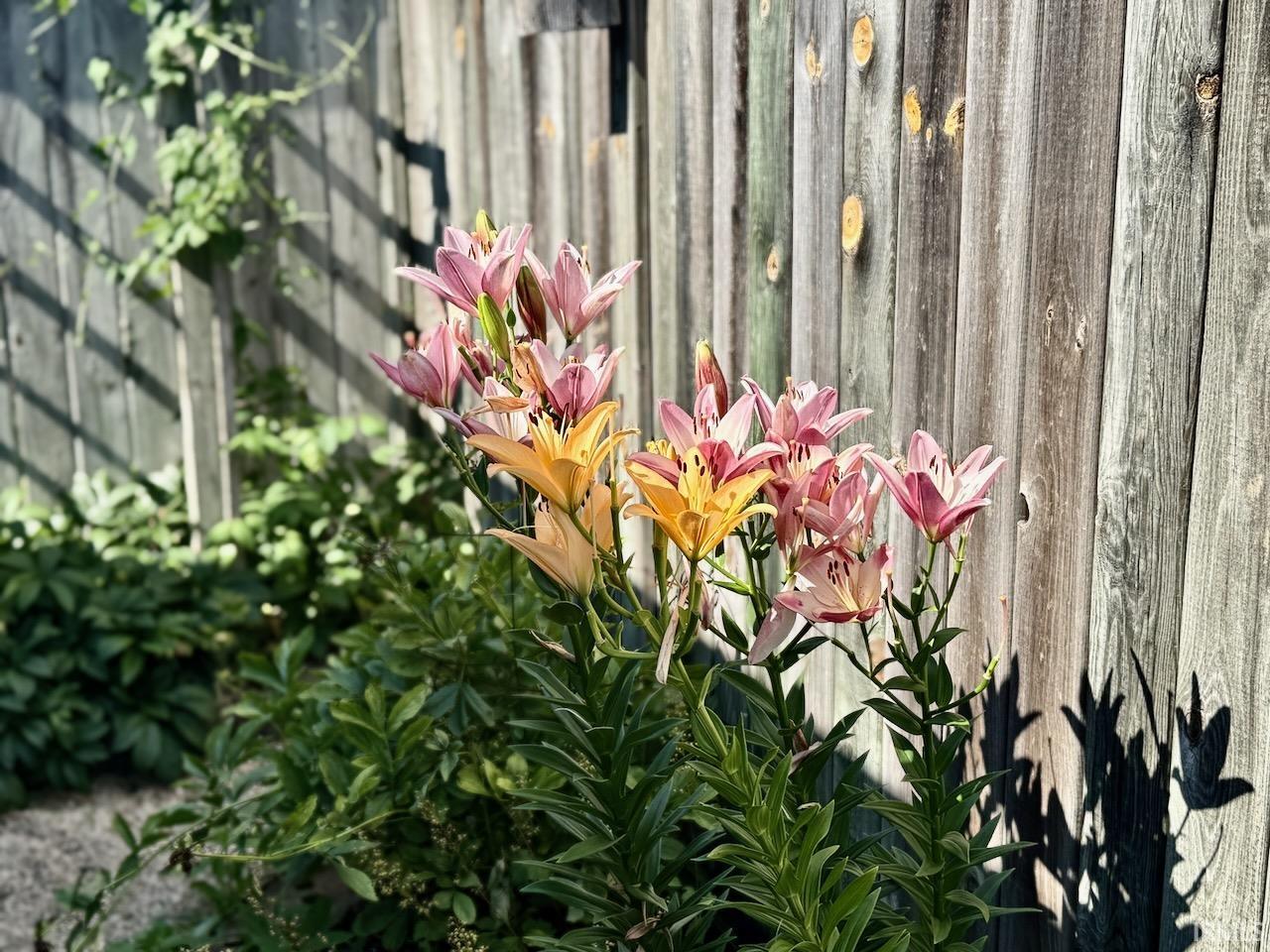 3400 W Riggin #37 Road Unit: 37