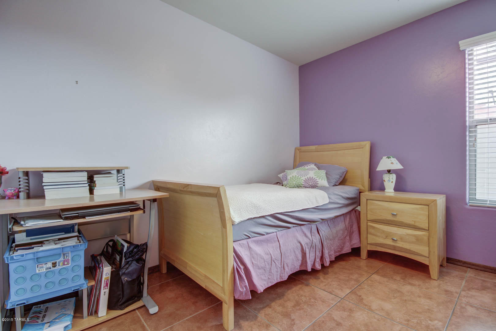 13957 S Camino Gavanza