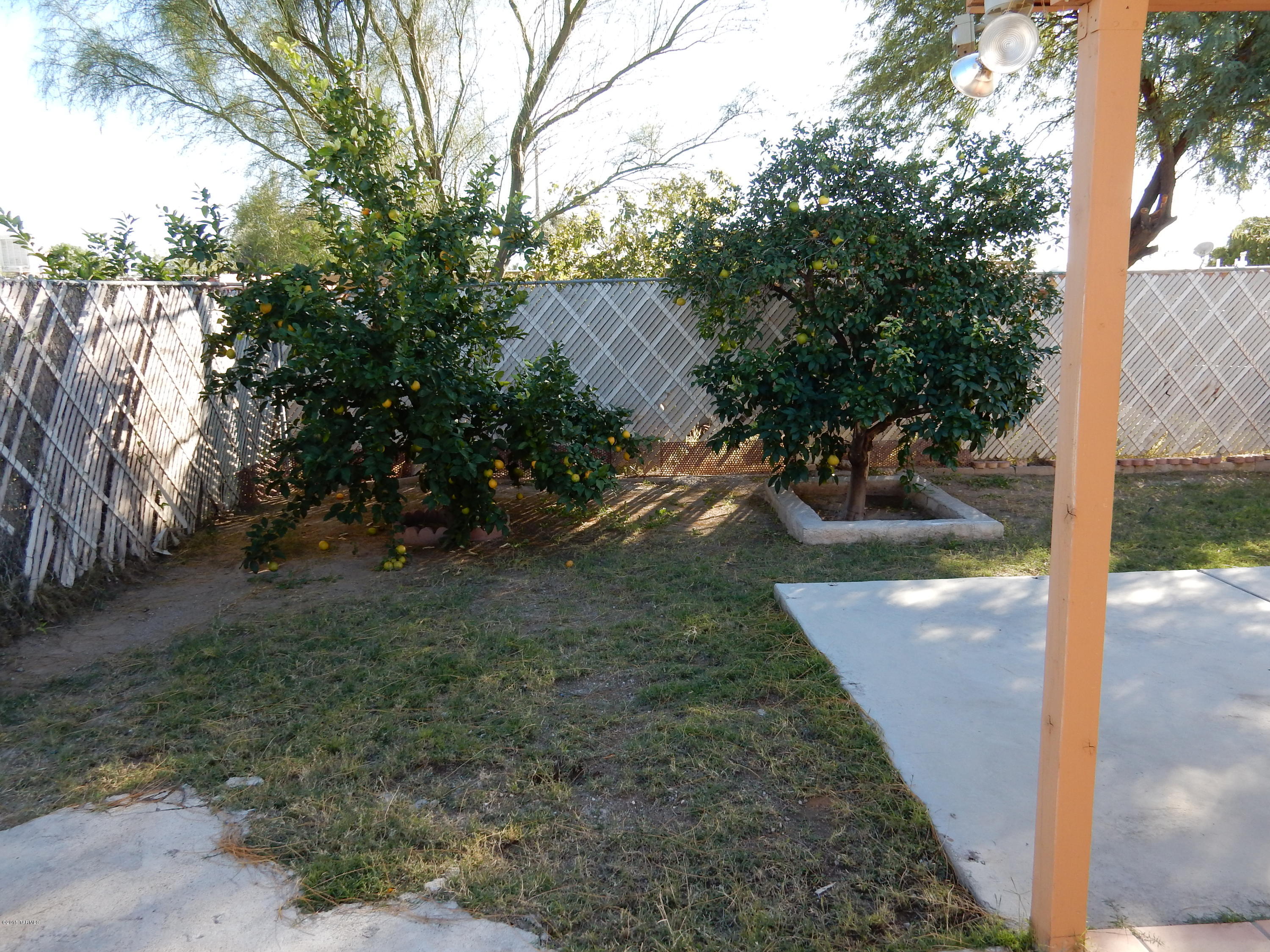 1136 E Garden Loop