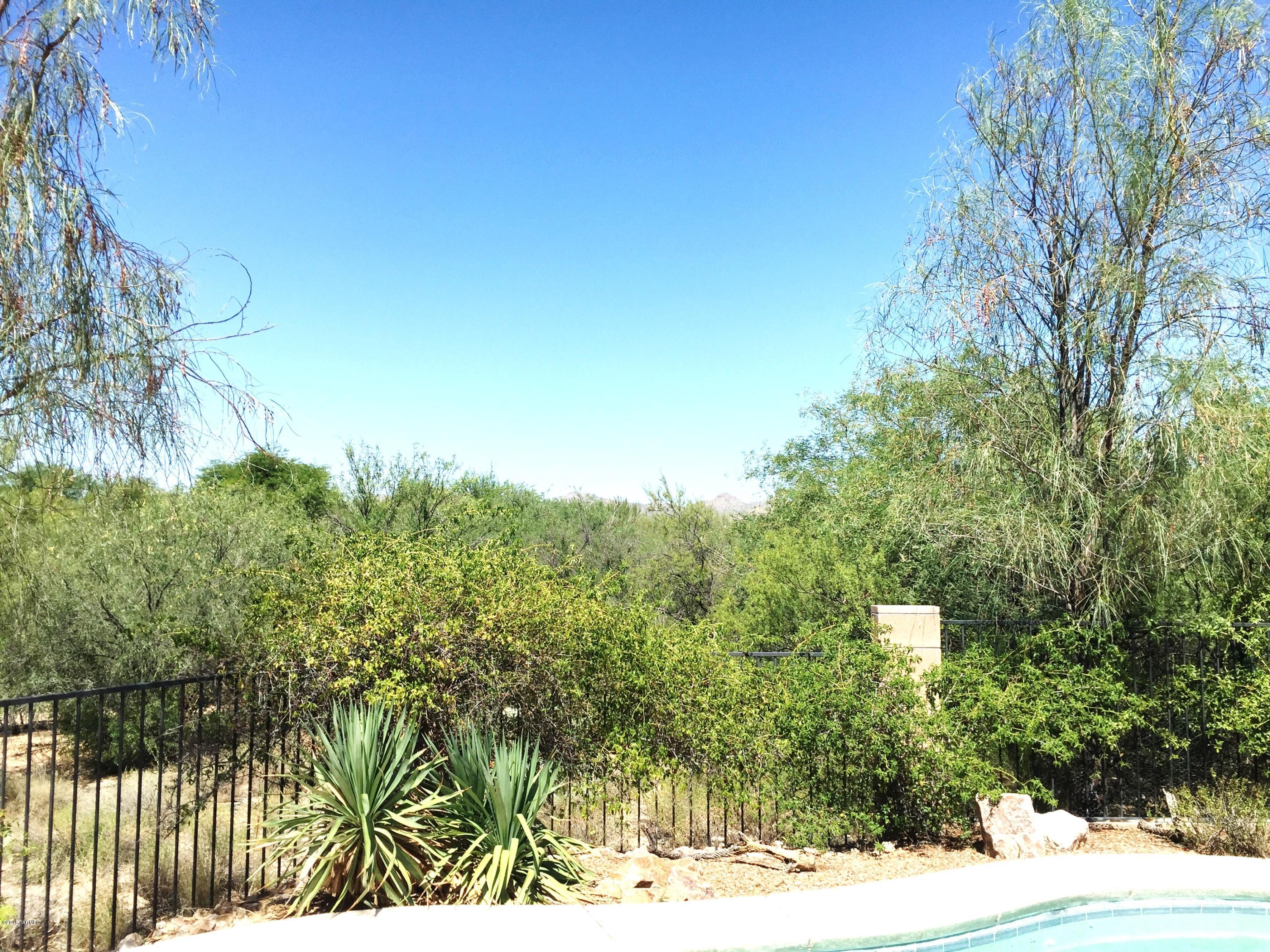 1028 W Blue Crest Drive