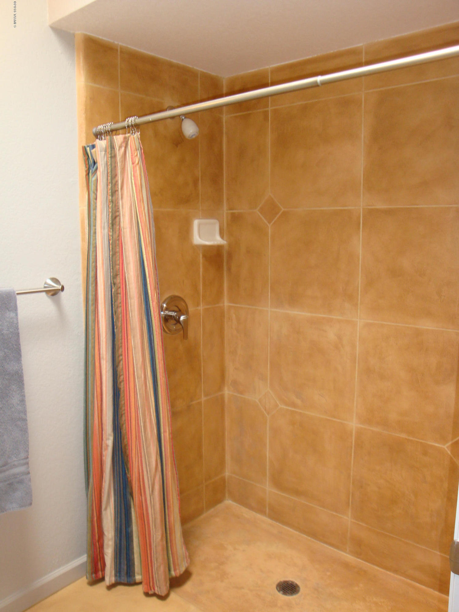 5282 N Paseo Del Arenal