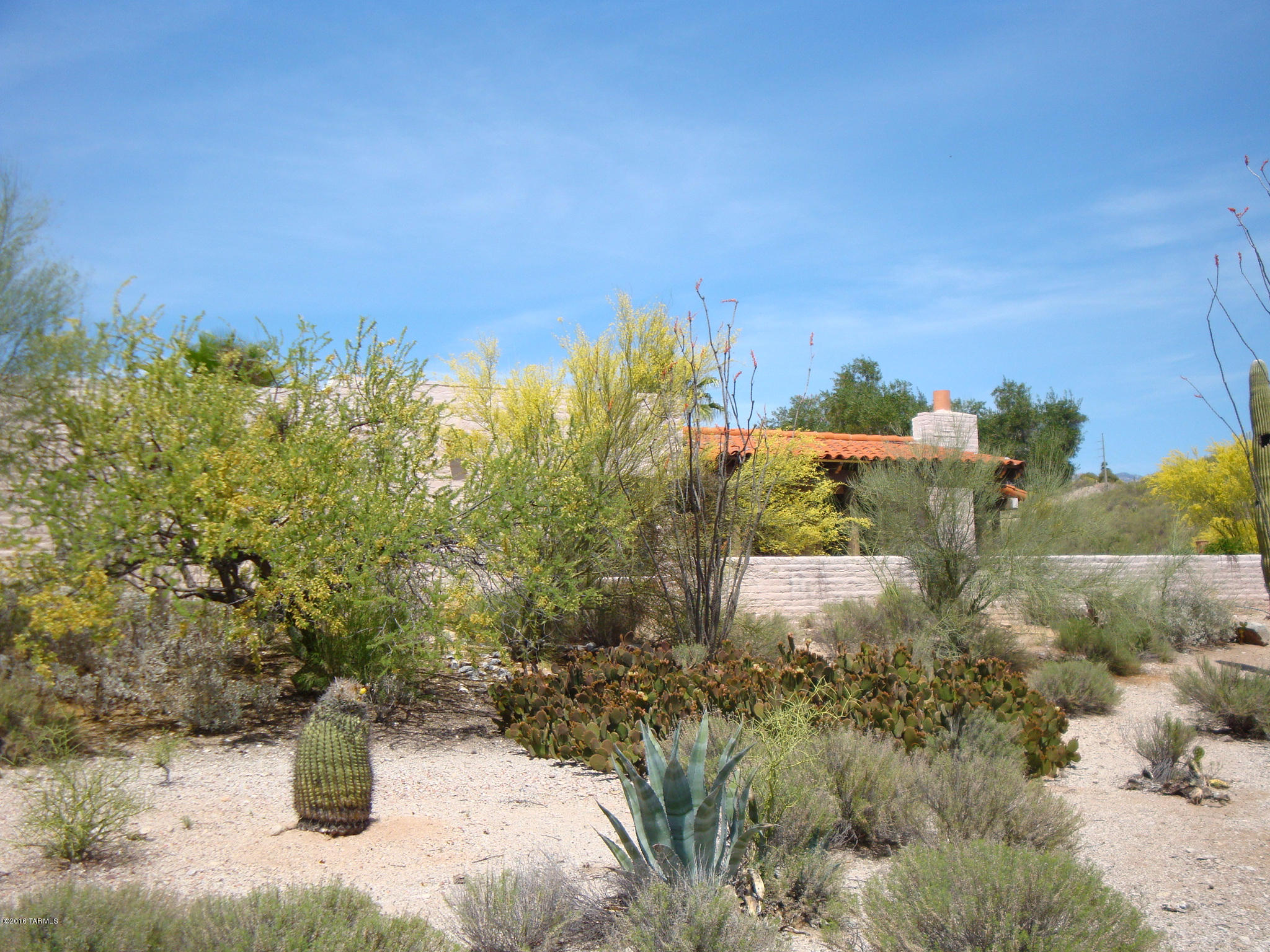 5282 N Paseo Del Arenal