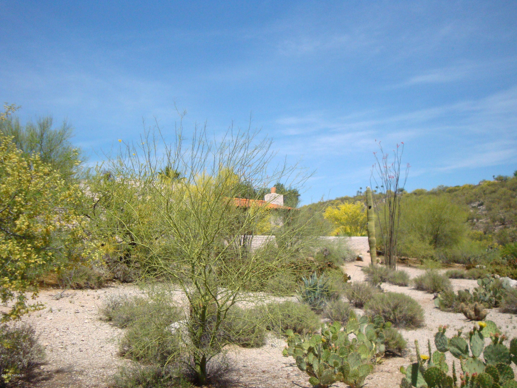 5282 N Paseo Del Arenal