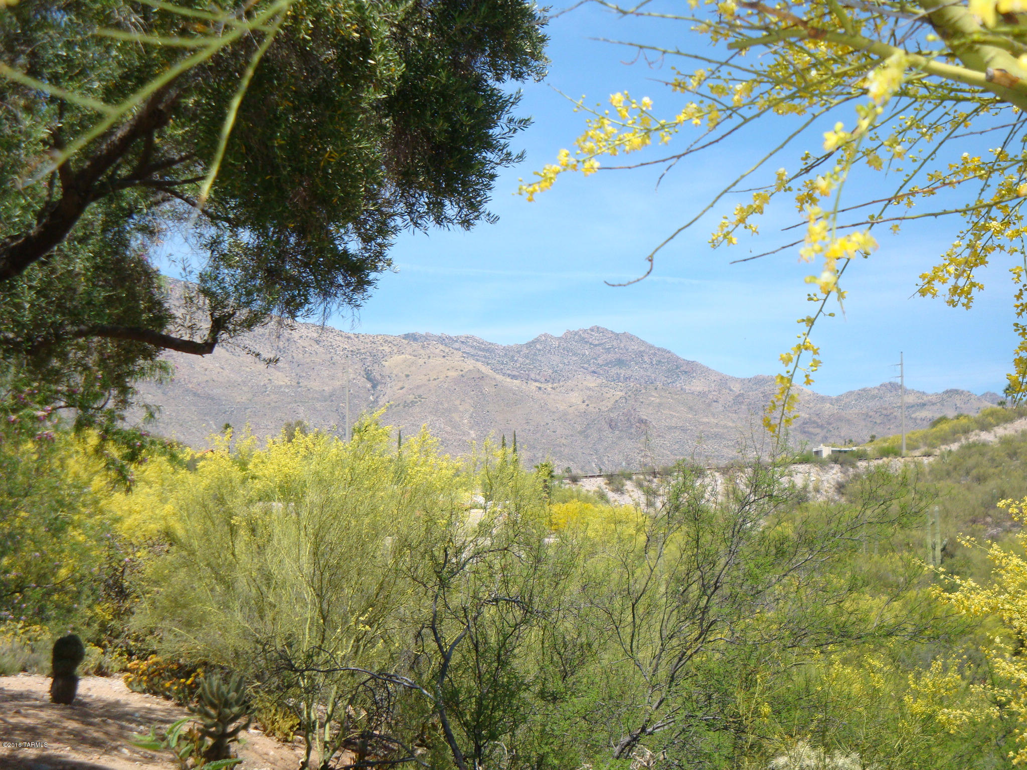 5282 N Paseo Del Arenal