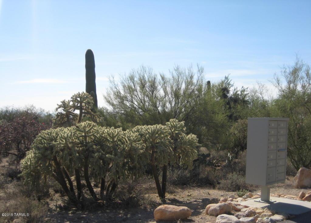 5151 W Camino De Manana Unit: .