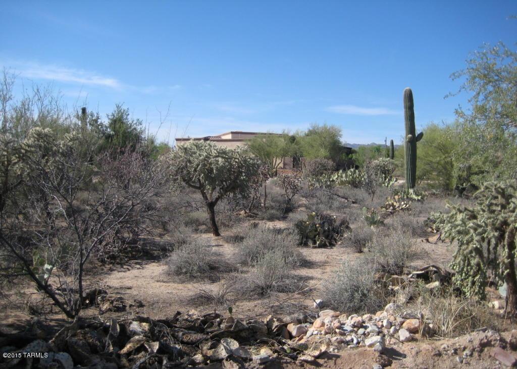 5151 W Camino De Manana Unit: .