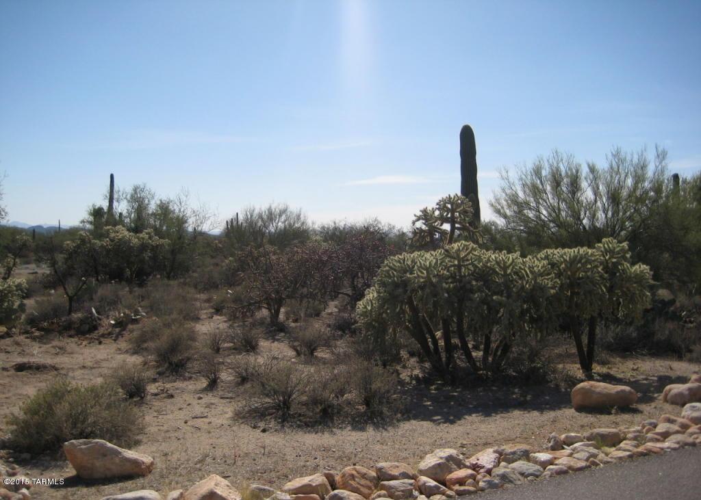 5151 W Camino De Manana Unit: .
