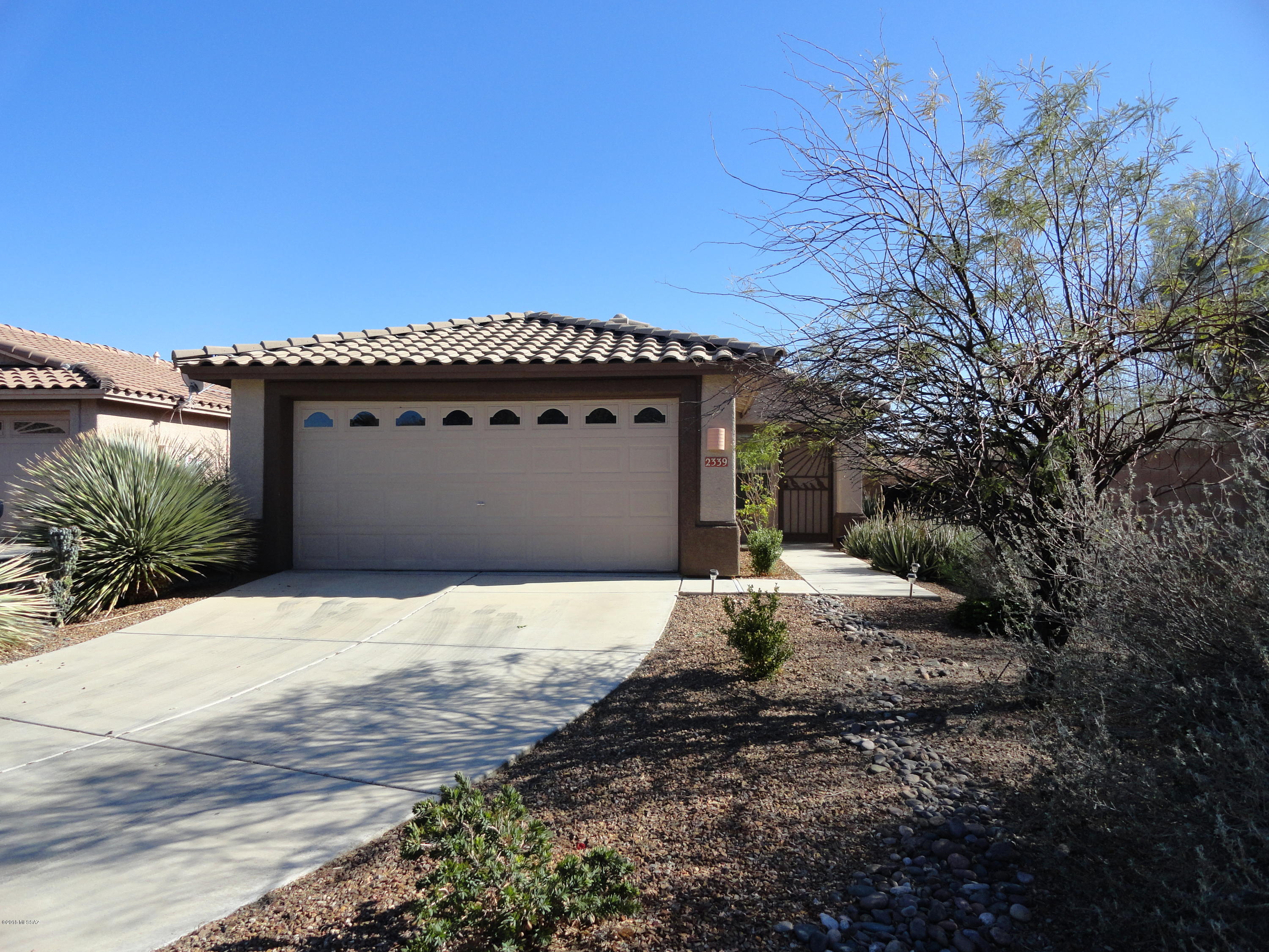 2339 W Tortolita Bluffs Drive