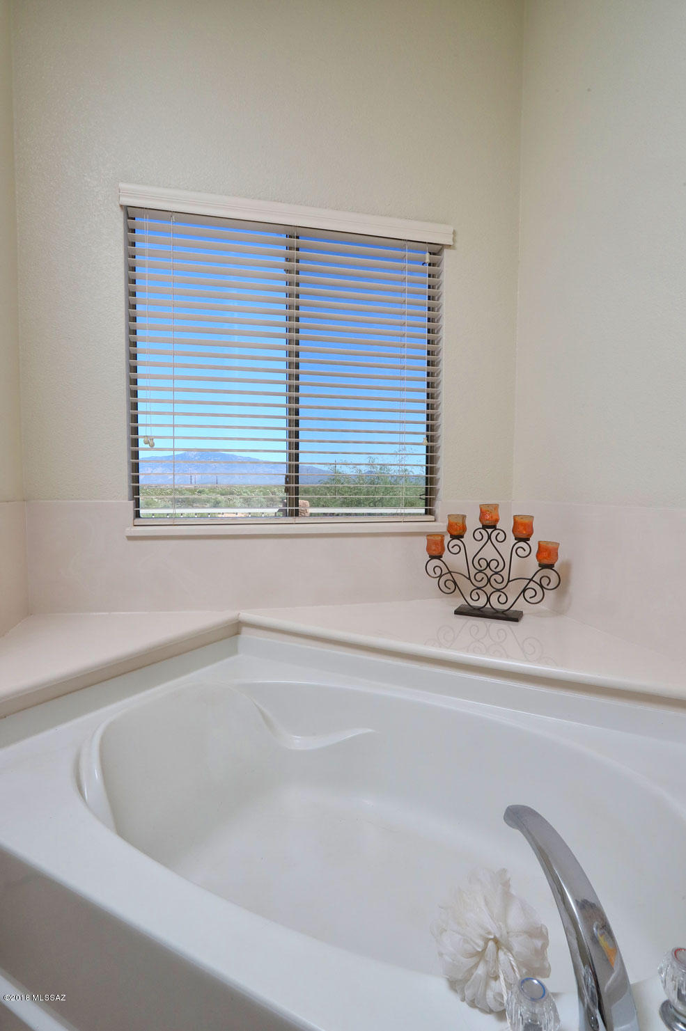 7461 S Sandbar Willow Place