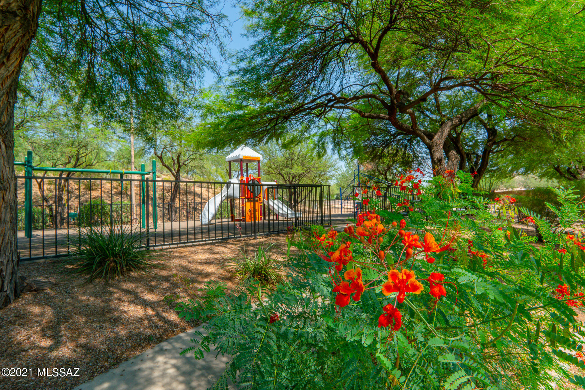 2620 W Mystic Mountain Drive