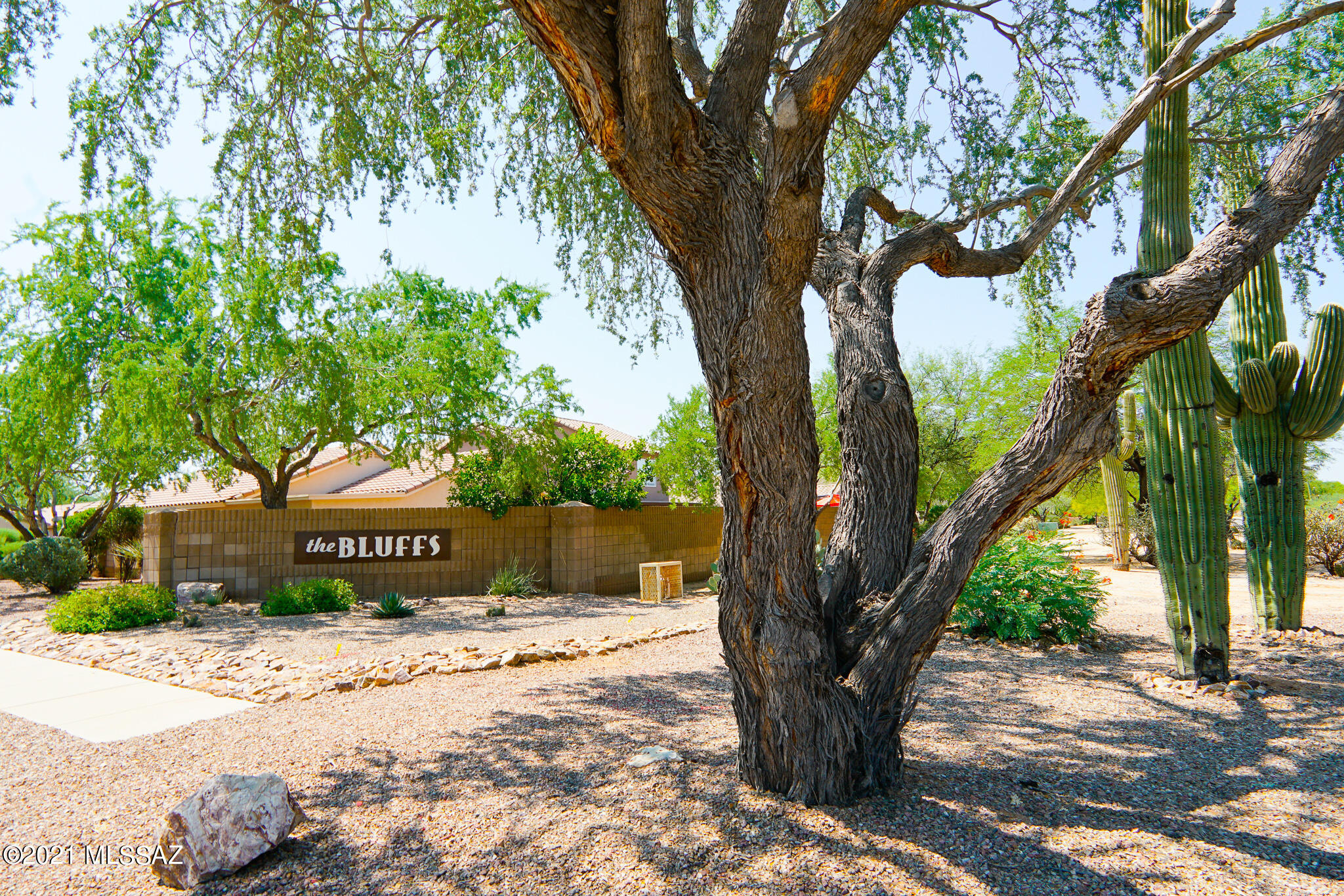 2620 W Mystic Mountain Drive