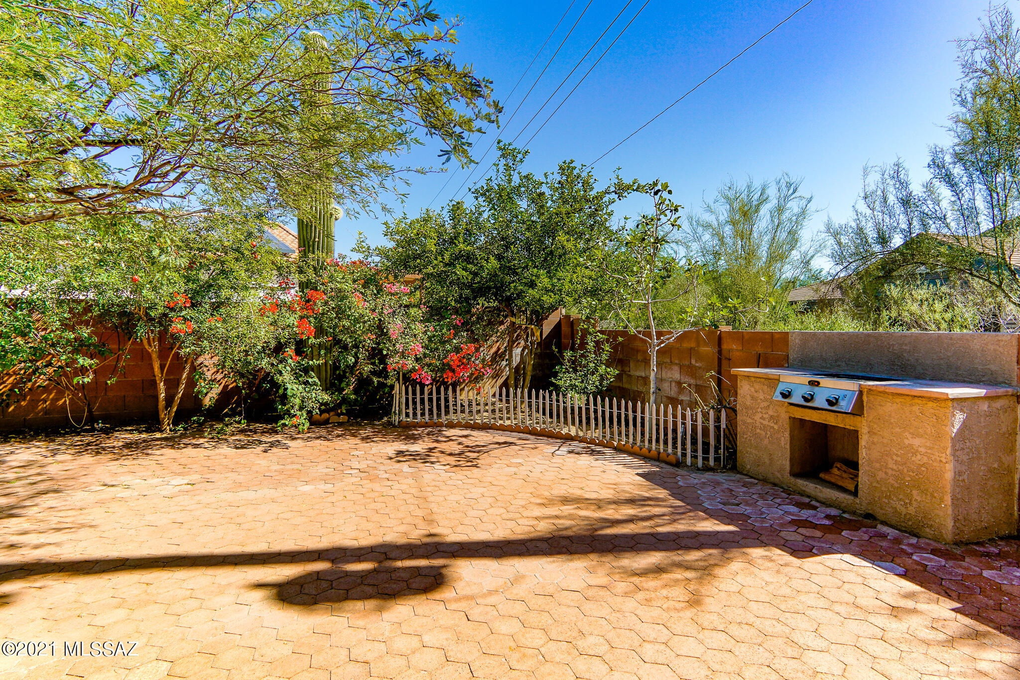 3529 W Camino De Talia