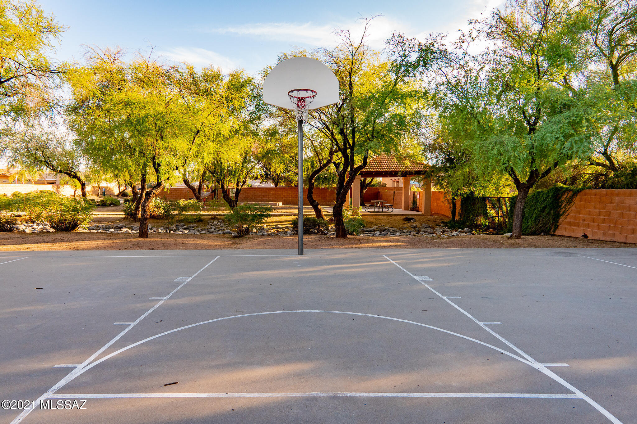 3529 W Camino De Talia