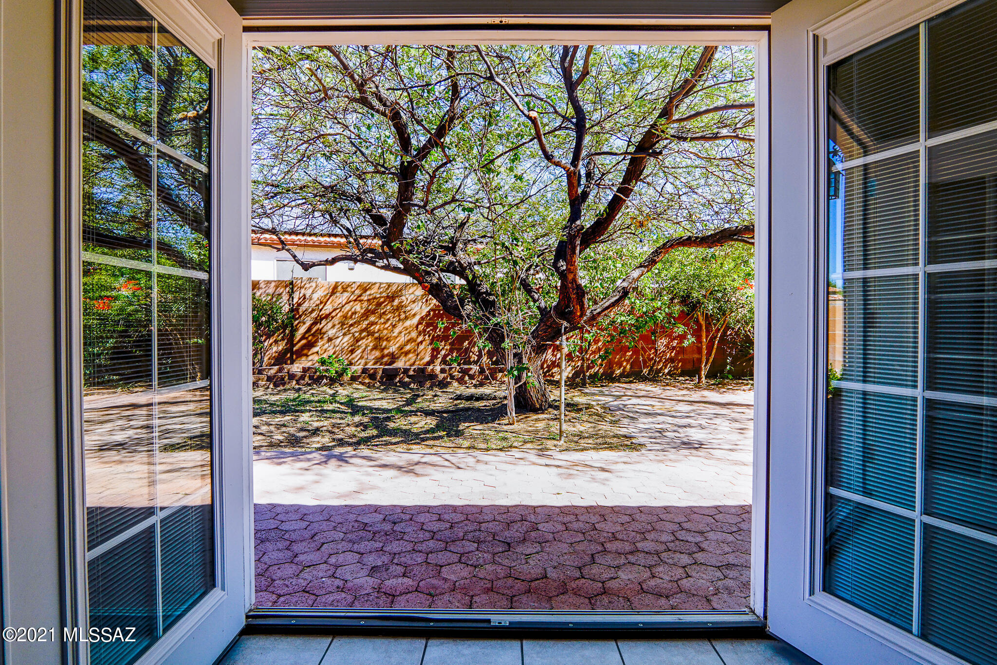 3529 W Camino De Talia