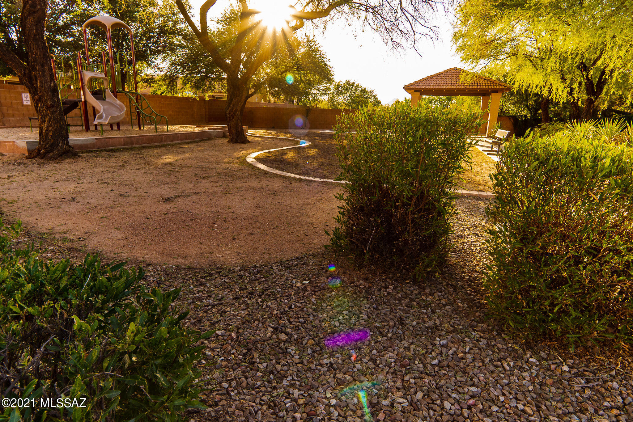 3529 W Camino De Talia