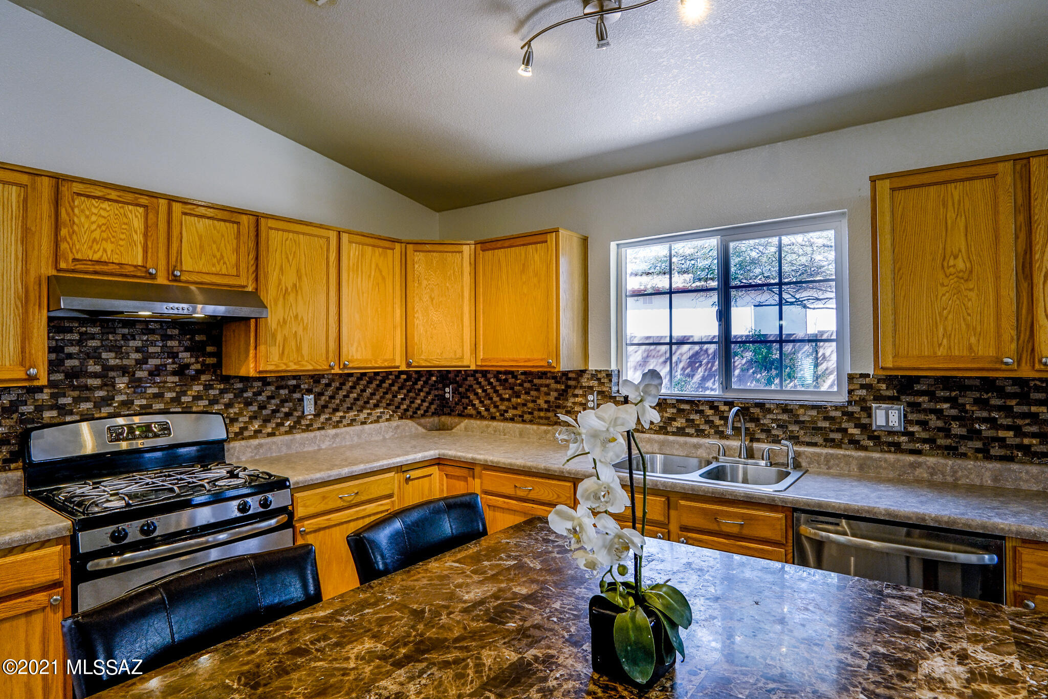 3529 W Camino De Talia