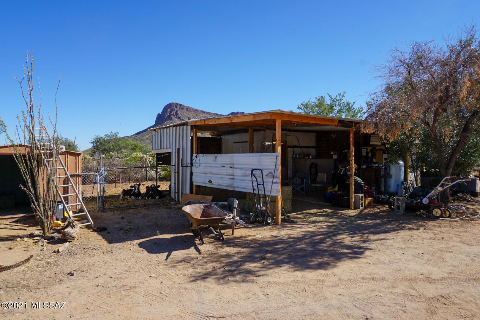 7251 N Van Ark Road