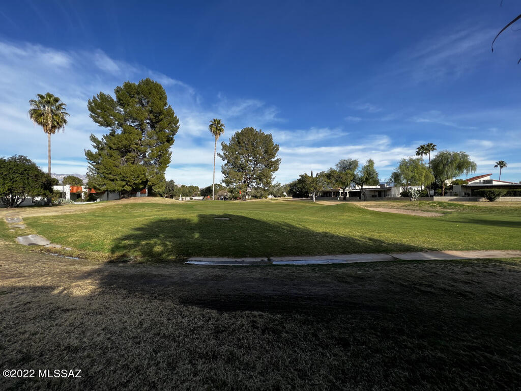 1650 N Paseo Dorado