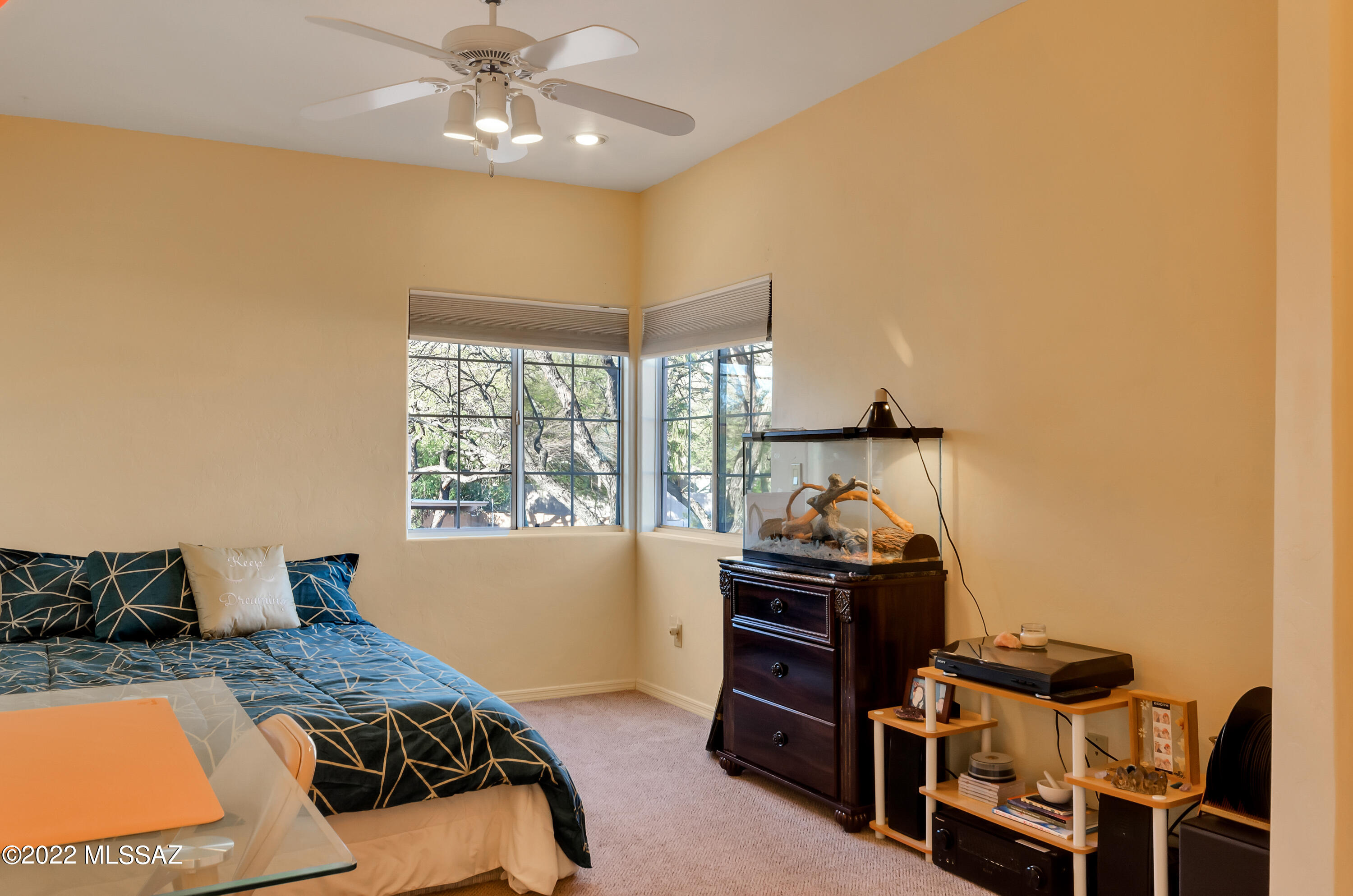 2038 E Calle De Dulcinea