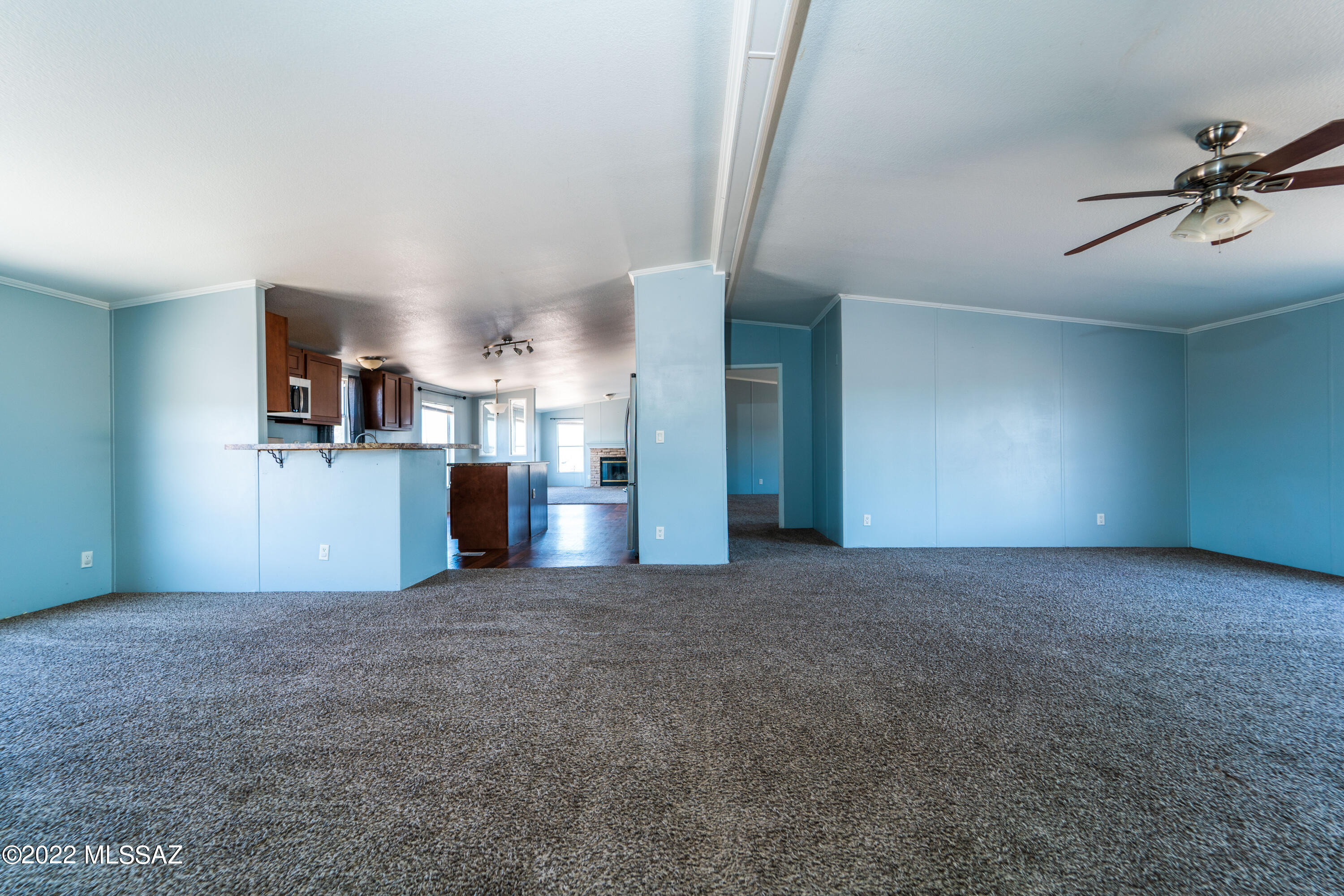 17055 W Calle Carmela