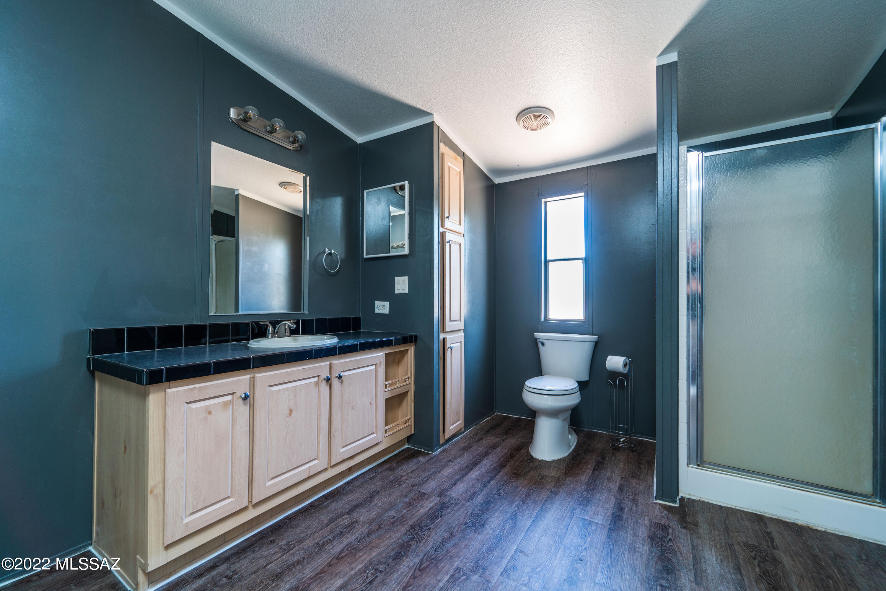 17055 W Calle Carmela