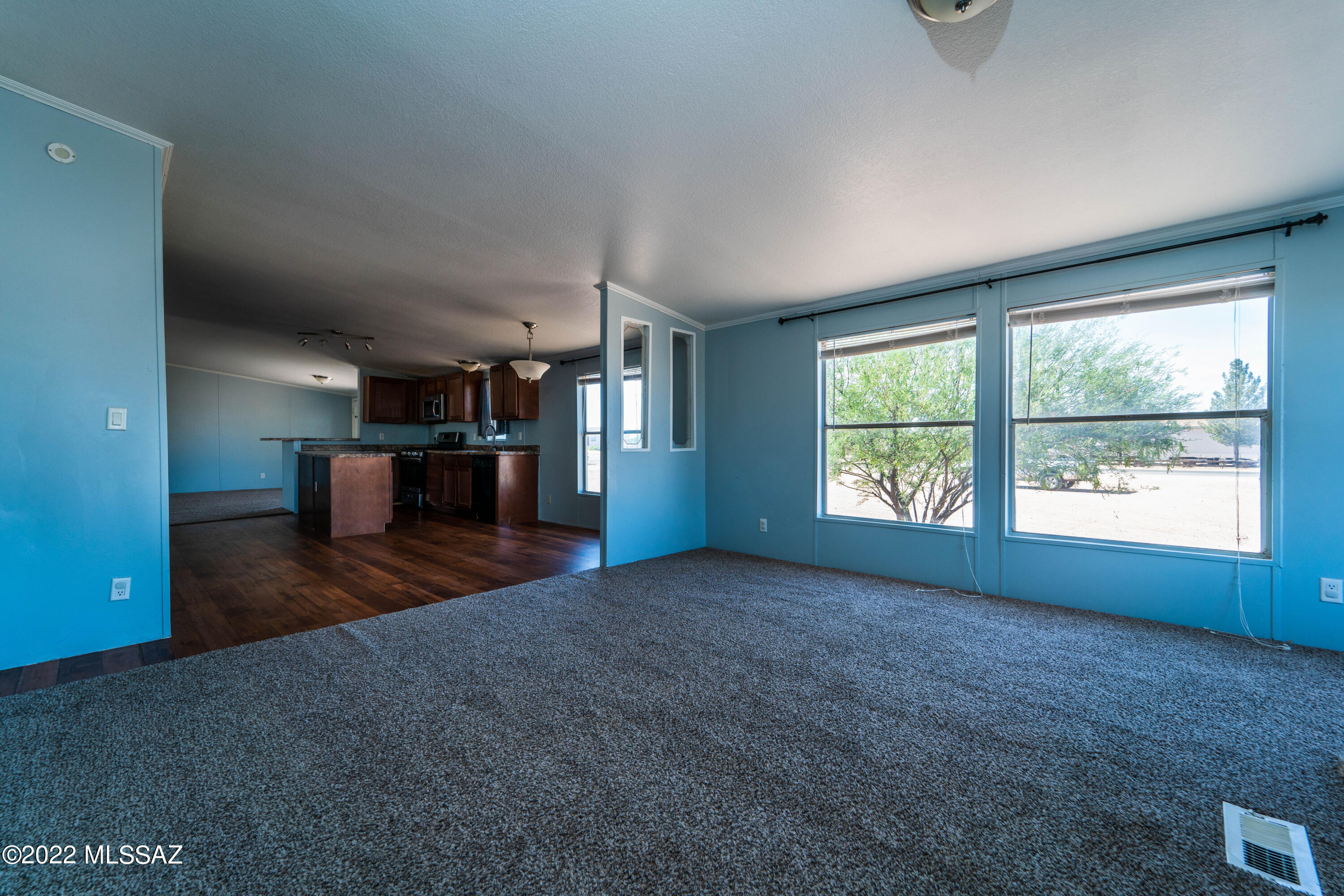 17055 W Calle Carmela