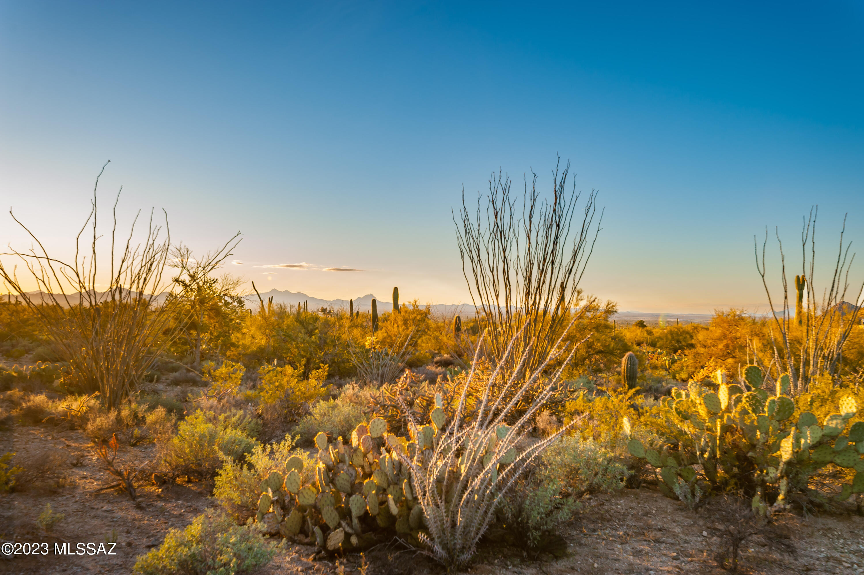 5737 N Tula Lane