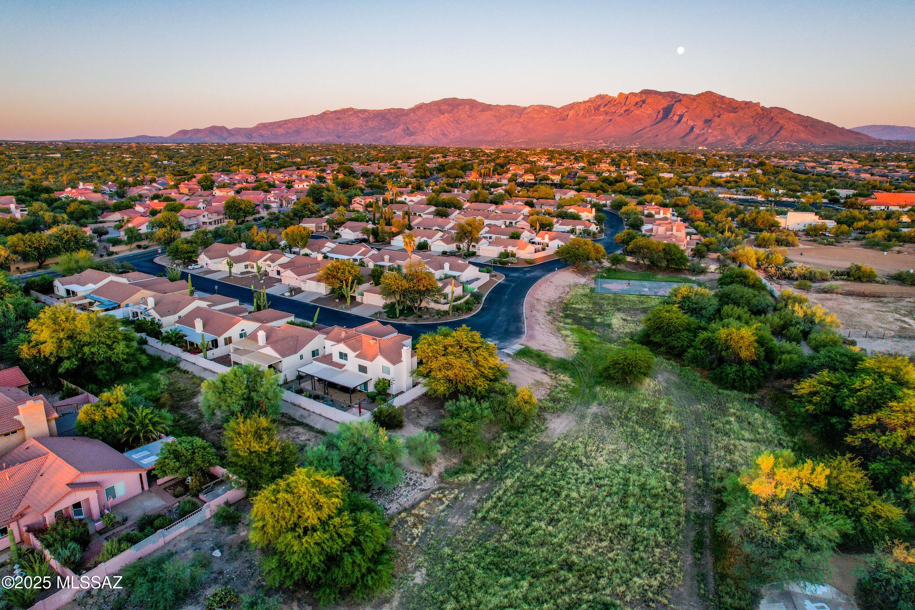 3673 W Thundercloud Loop