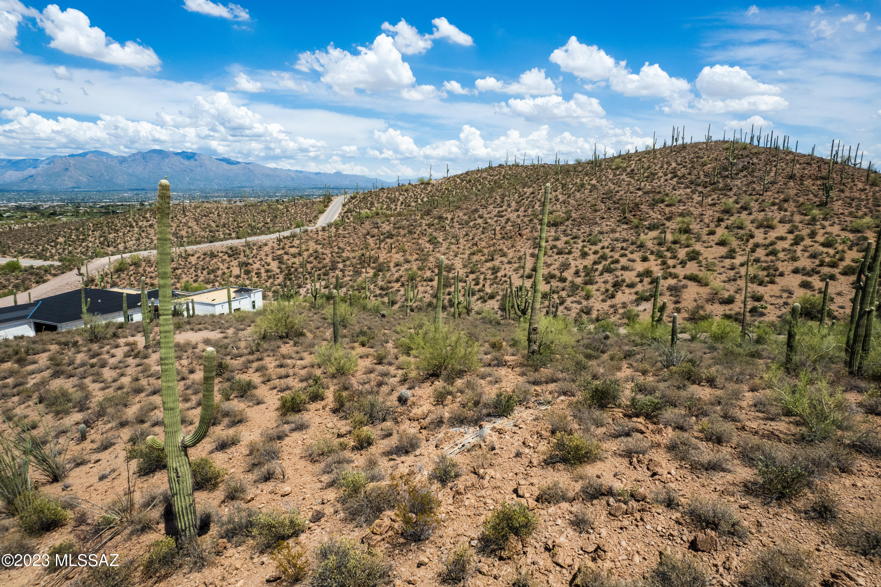 5931 W El Camino Del Cerro