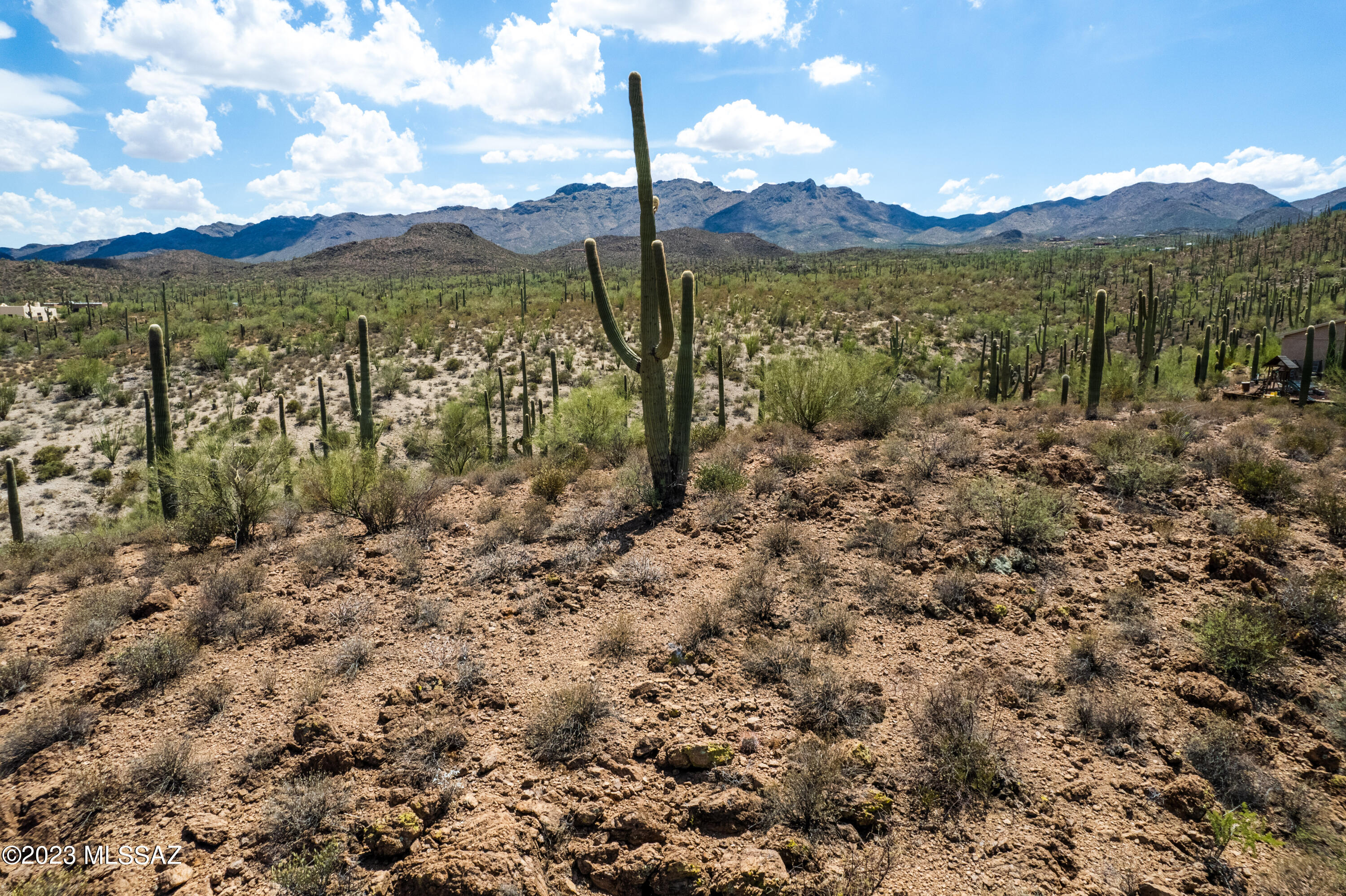 5931 W El Camino Del Cerro