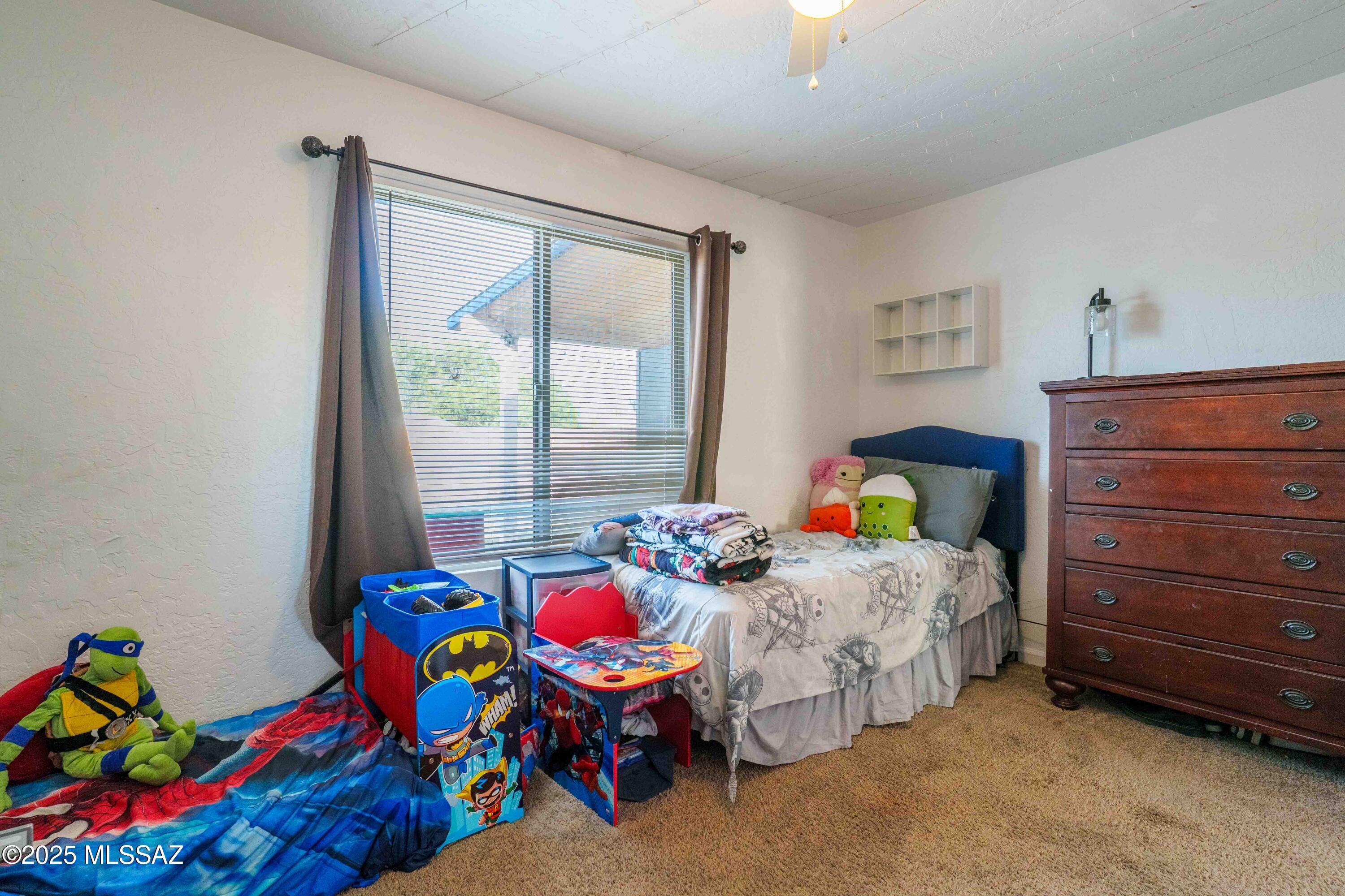 7111 S Camino Libertad