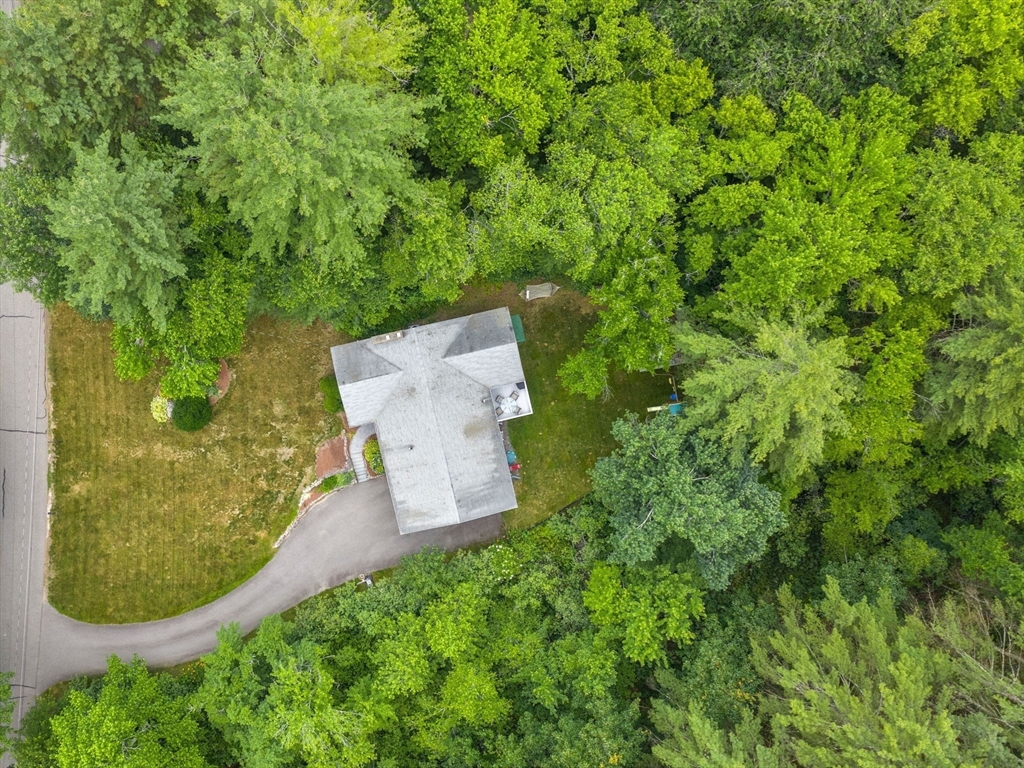 36 Surrey Lane