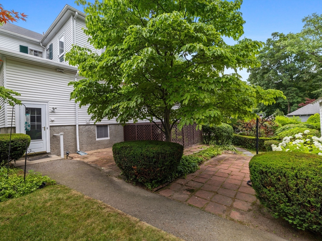 21 Wellesley Ave