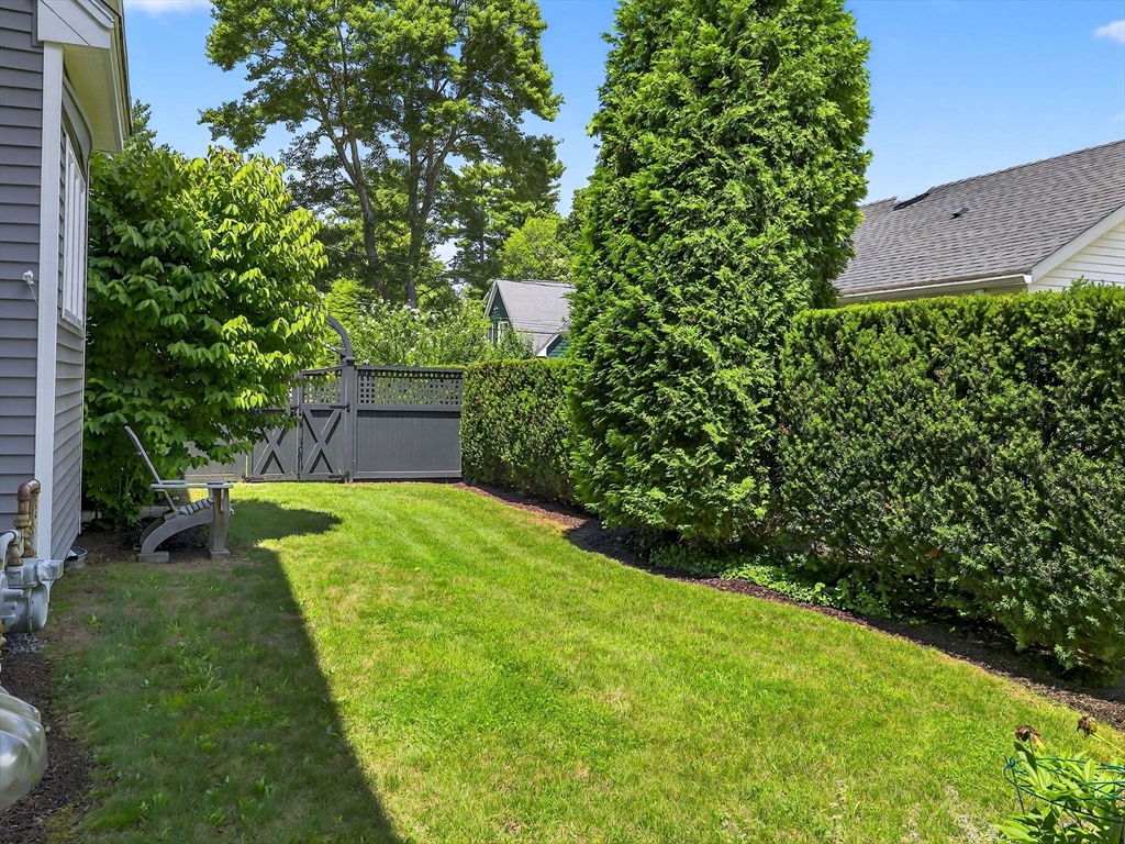 25 Bryn Mawr Rd