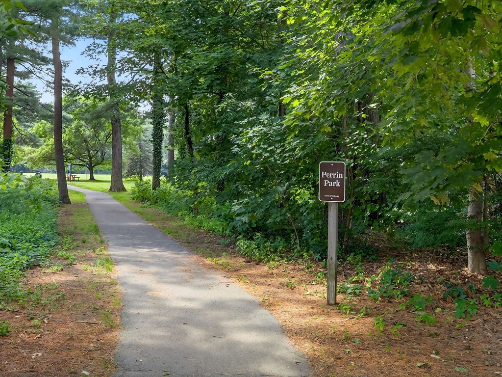 25 Bryn Mawr Rd