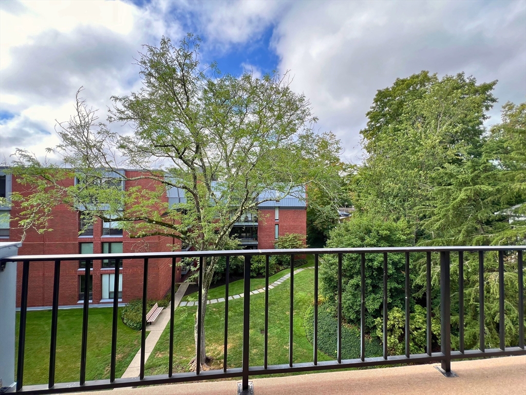 65 Grove St # 445