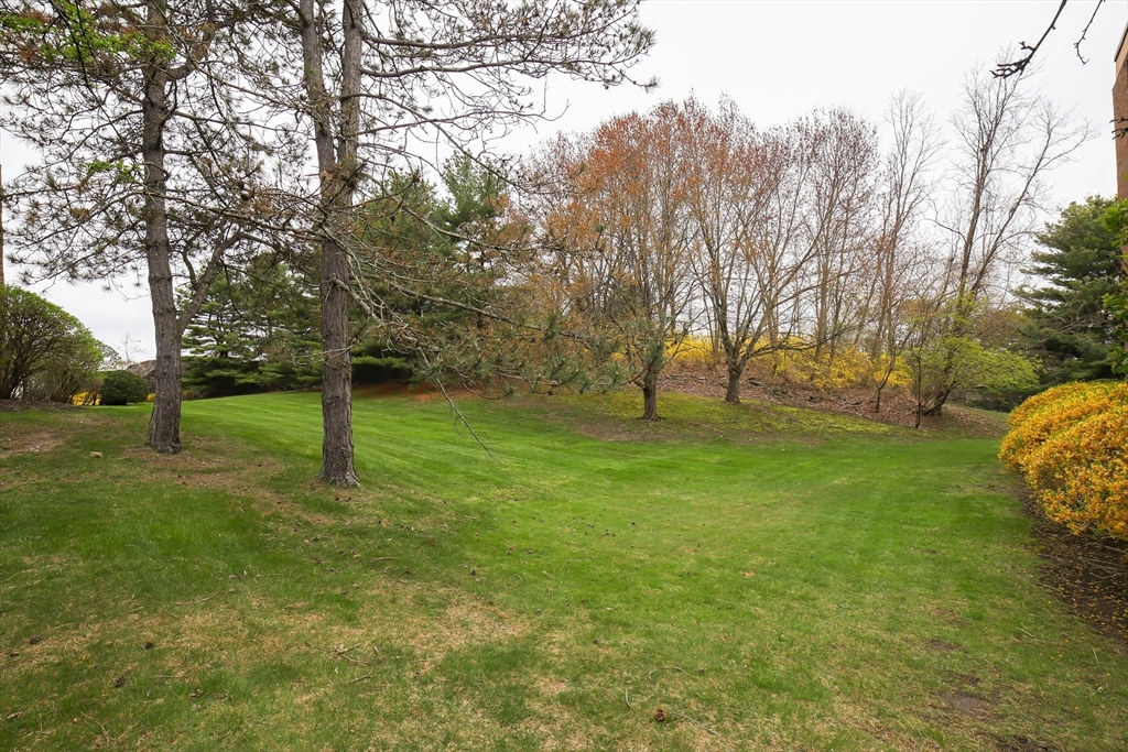 11 Ledgewood Way # 16