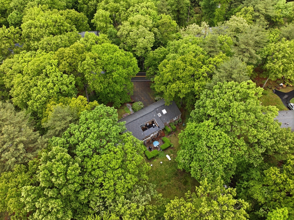 95 Woodridge Rd