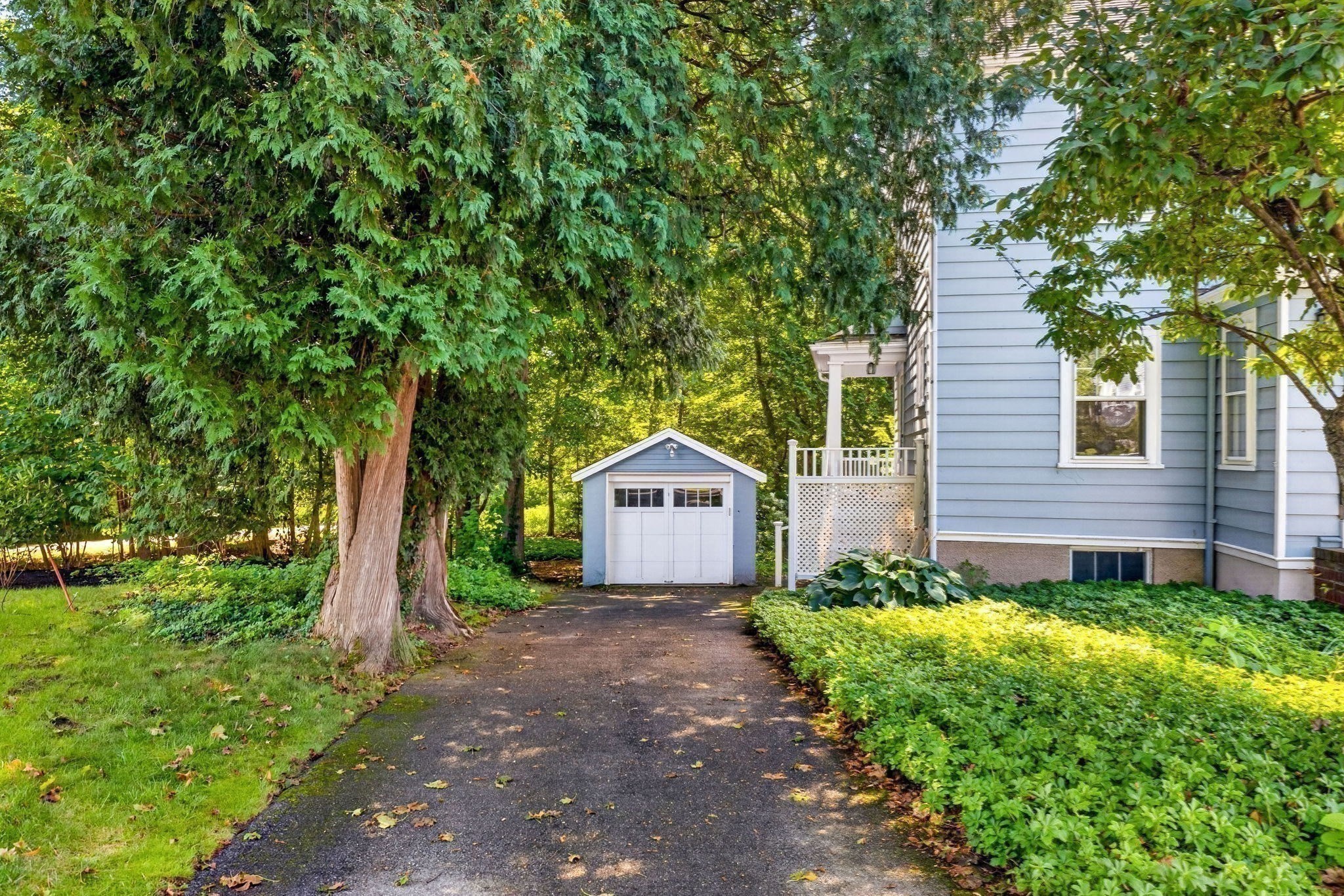 7 Dexter Road