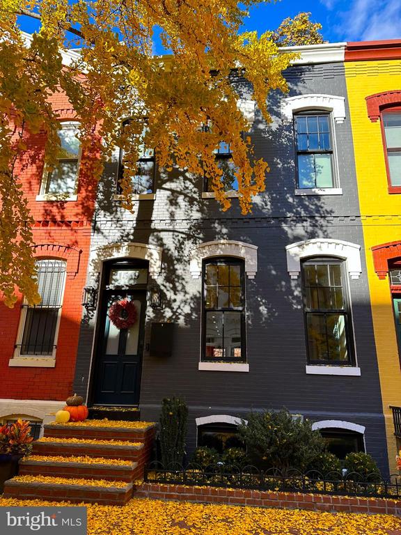 1519 Swann St NW - Washington DC