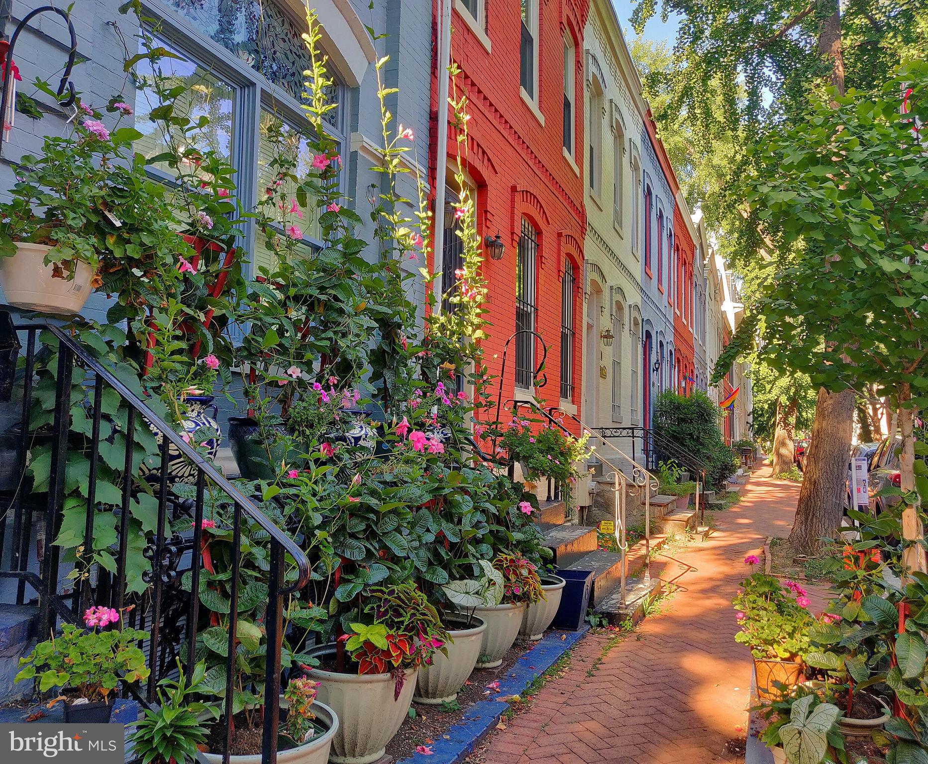 1519 Swann St NW - Washington DC