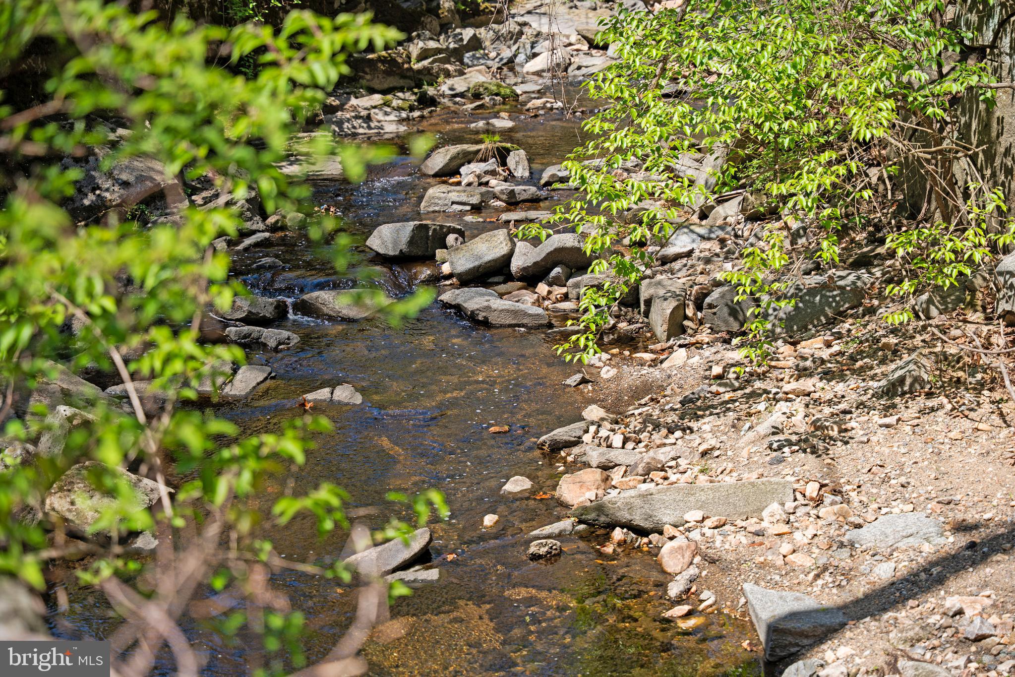 4656 Broad Branch Rd NW