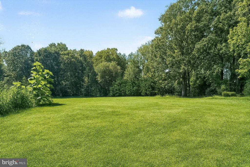 Broad green lawn bordered by mature trees and shrubs.